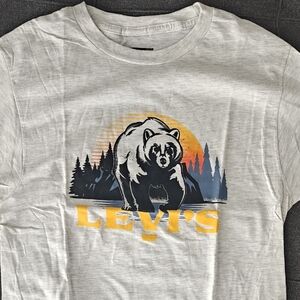 Levi's Gray Graphic Tee with Bear Design